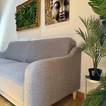 Penzion Casa Sao Sebastiao Casas Bem Haja São Miguel de Acha Exteriér fotografie